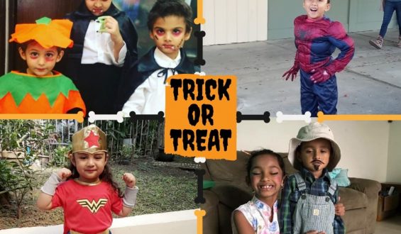 From Costumes to Candy, Here’s Why These Getlitt! Members Love Halloween